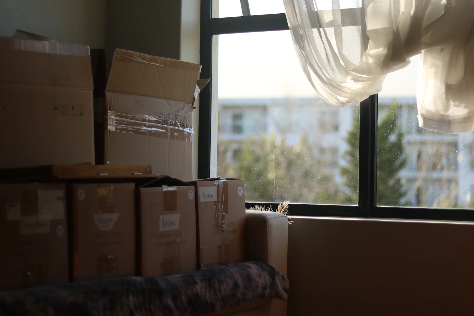 Moving boxes prepared in a bright room